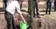 Silah arkadaşından şehit Halisdemir anısına fidan