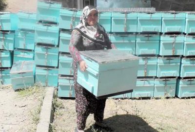 Arıcı kadına öncelikli destek
