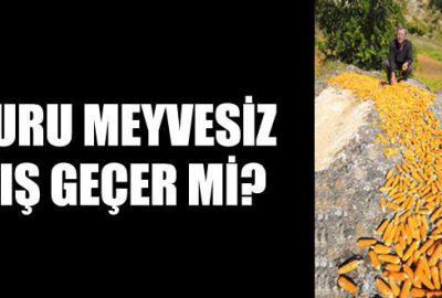 Köylerde, kış hazırlıkları bugünden başladı.