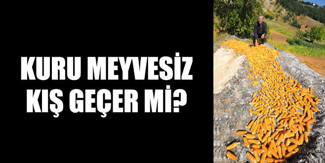 Kuru meyvesiz kış geçer mi?