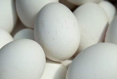 Belçika’da da ‘böcek ilaçlı yumurta’ çıktı