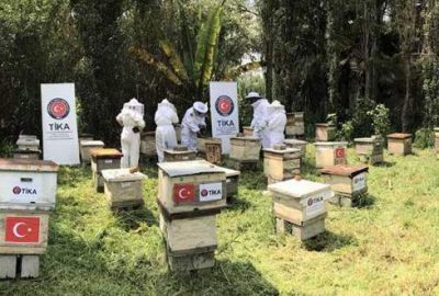 TİKA’dan Meksikalı bal üreticilerine destek