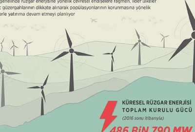 Dünya çevresel önlemlerle ‘rüzgar’a koşuyor