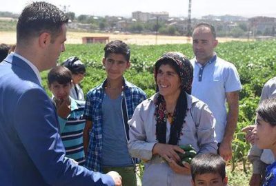 Diyarbakır'ın Bismil ilçesinde kaymakamlığın kiraladığı 100 dönümlük arazi ile hayırseverin
