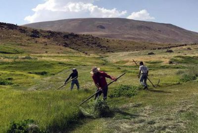 Doğu Anadolu'da çiftçiler, hayvanları için mera ve çayırlardaki otları tırpanlarla