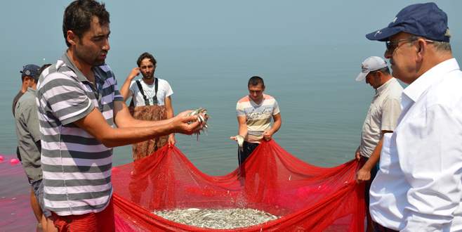 İznik Gümüş Balığı Avrupa’nın en iyisi