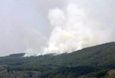 Kazdağları’nda orman yangını