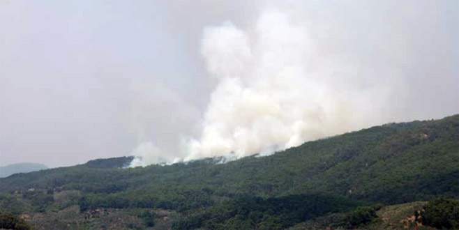 Kazdağları’nda orman yangını