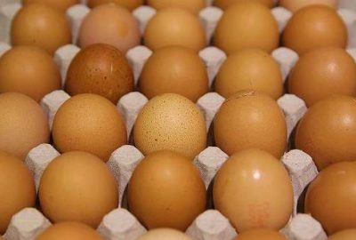 Belçika yumurta krizinde Hollanda’yı suçladı