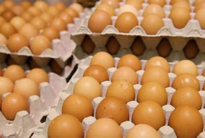 Böcek ilaçlı yumurta krizi büyüyor