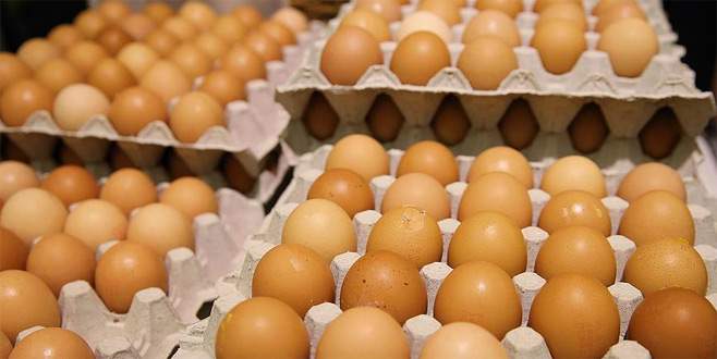 Böcek ilaçlı yumurta krizi büyüyor