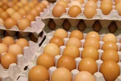 Türkiye, Avrupa’daki yumurta krizini izlemeye aldı