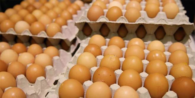 Türkiye, Avrupa’daki yumurta krizini izlemeye aldı