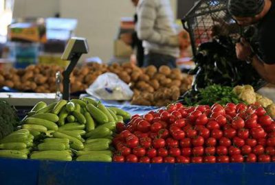 Tarım ÜFE temmuzda azaldı
