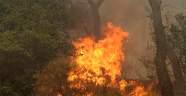 Fethiye’de orman yangını