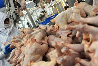 Tavuk eti fiyatları yüzde 20 arttı