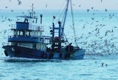 Sektör umutlu! Fiyatlar yarı yarıya düşecek…