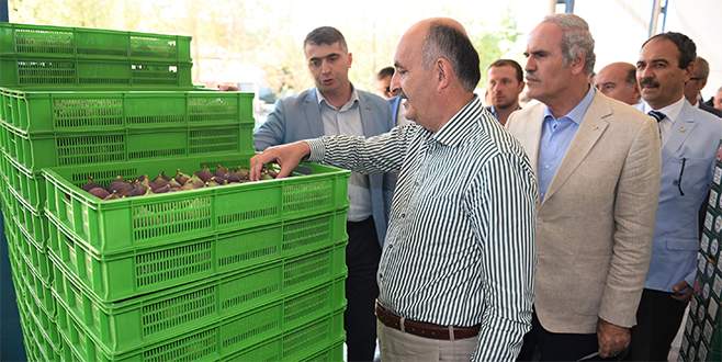 Bursalı üreticinin yüzü gülüyor