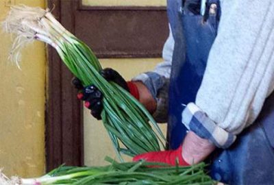 Yeşil soğan cep yakıyor