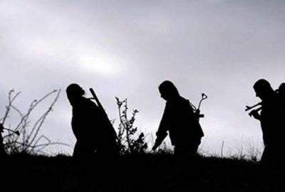 Van, Muş ve Erzincan’da 7 terörist öldürüldü