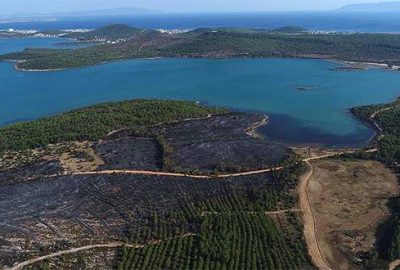 Bakan Eroğlu’ndan Haluk Levent’e davet