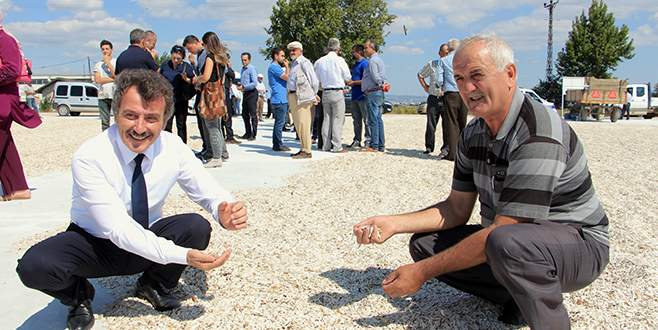 Barcın’a ayçiçeği kurutma alanı