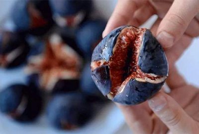 Siyah incirde keyifli sezon