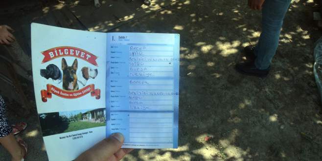 Köpeği çelik iple astılar