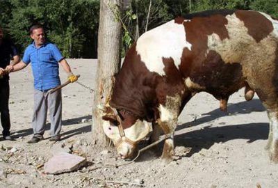‘Paşa’yı alana ilginç promosyon