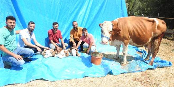 ‘İlk defa başımıza geldi, çok şaşkınız’