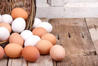 Türkiye’de yumurtalar temiz çıktı