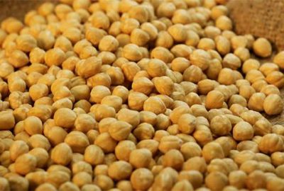 Fındığın parası peşin ödenecek