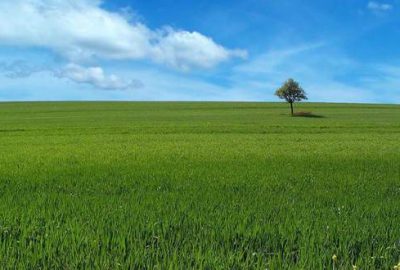2B ve tarım arazilerinde son başvuru 7 Eylül