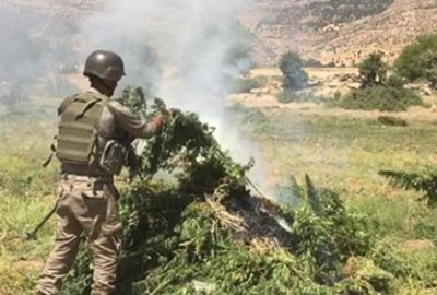 Diyarbakır’da ‘Bayrak-58 Şehit Jandarma Binbaşı Ümit Çelik’ operasyonu