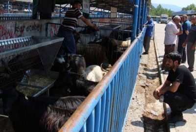 Kurban pazarlarında ‘tatil’ durgunluğu