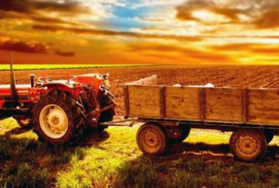 Çiftçilere ödenecek tarımsal destekler belli oldu