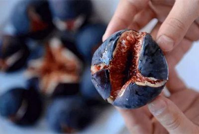 Dünyanın en kalitelisi Bursa’dan yola çıkıyor