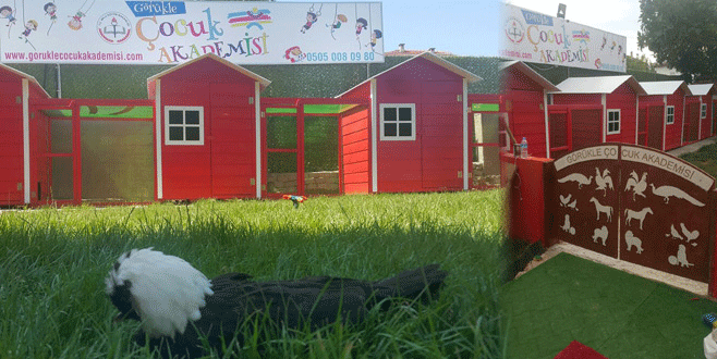 Bursa’daki bu okulda minikler hayvanlarla iç içe…