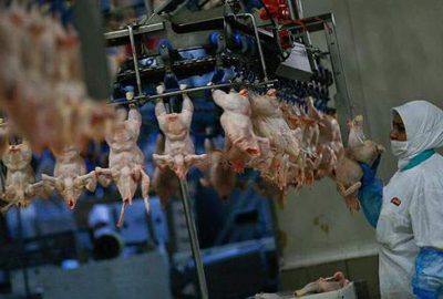 Zeybekci’den kanatlı sektörüne Japonya müjdesi