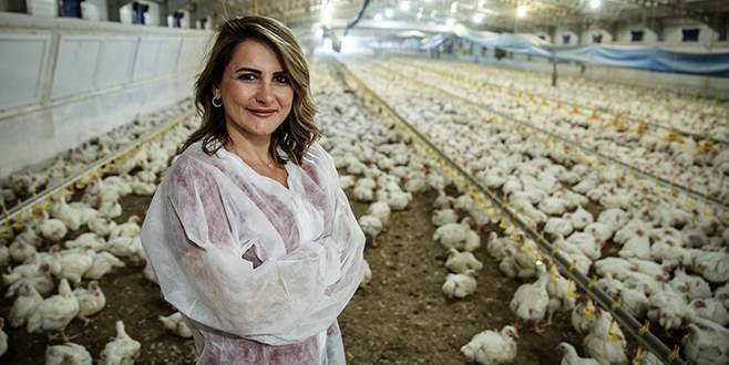 Bursa kadın girişimci hibe ile 50 bin kapasiteli tavuk çiftliği kurdu