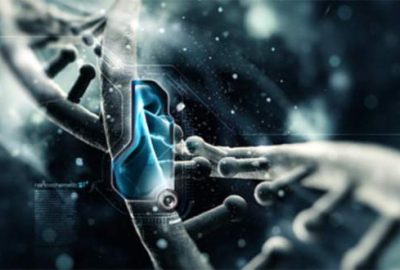 Çinliler ölümsüzlüğün sırrını buldu mu?