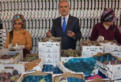 Bursa siyahı Uzak Doğu pazarında