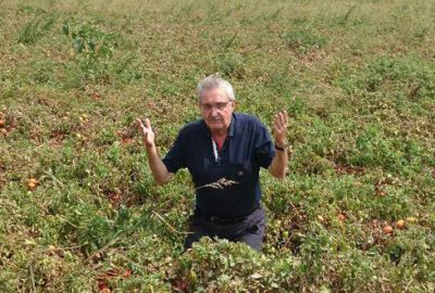 Tek çare üretimi artırmak