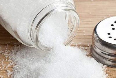 Prof. Dr. Elmacıoğlu: Tuz kaybedilirse sinir sistemi çalışmaz