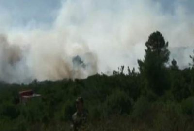 İstanbul’da orman yangını!