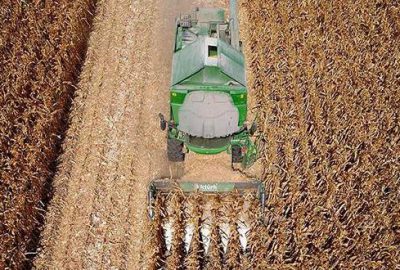 Beyaz et sektörü büyüdü, mısır üretimi yüzde 81 arttı