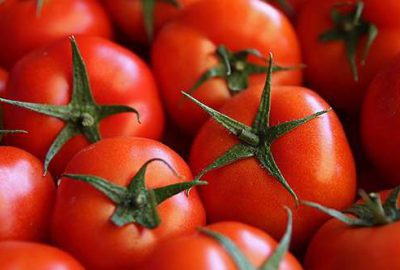 Rusya’dan domatese karşı et şartı