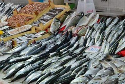 Balık fiyatları düşüyor
