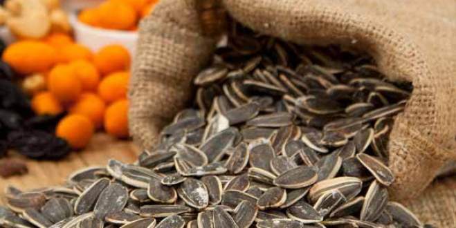 Ay çekirdeği bakın nelere iyi geliyor!