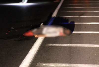 Korkunç olay! Bacakları parçalanmış erkek cesedi bulundu